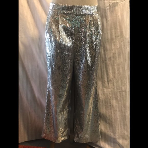 Anthropologie Porridge Silver Sequined Wide Leg Pants small NWT - Picture 2 of 8